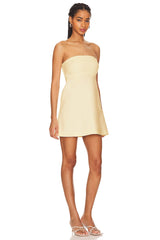 Lani Strapless Mini Dress