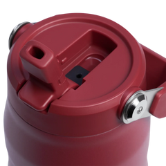 The Holiday IceFlow™ Bottle with Flip Straw Lid | 24 OZ