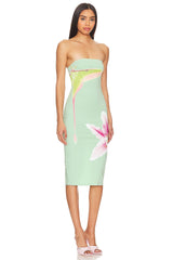 Luna Moth Dress