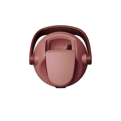 Owala Holiday Collection FreeSip® Sway Poinsettia 30oz